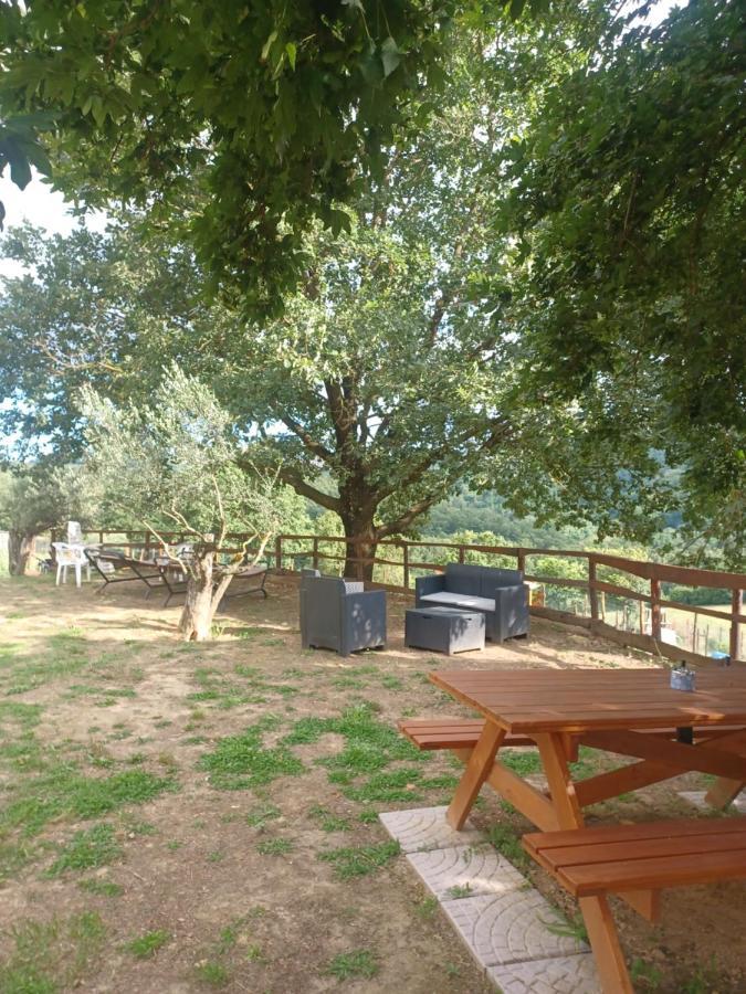 Cisogna Farm stay Anagni
